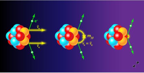 The Search for Neutrinos