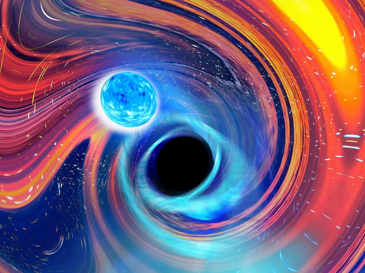 A new gravitational wave collection contains black holes of all shapes and sizes