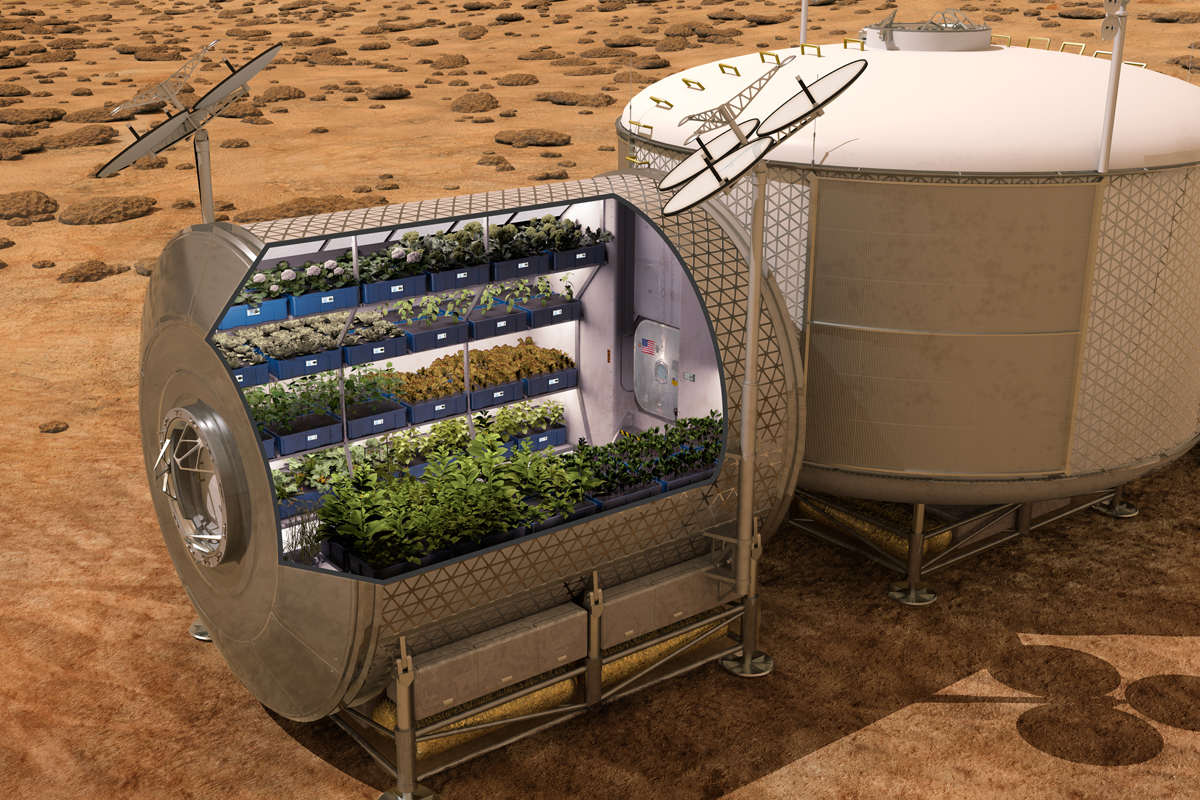 Astronauts may be able to cultivate crops using asteroid soil