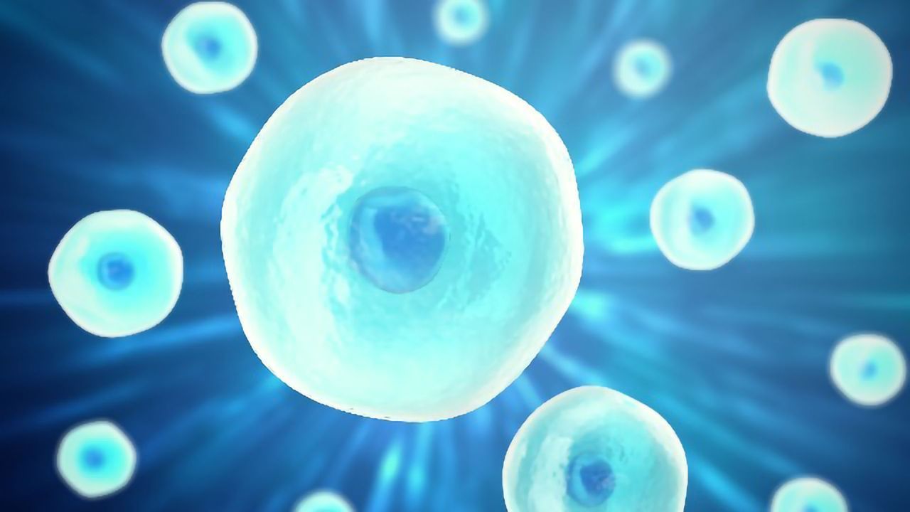 scientists-are-turning-to-artificial-intelligence-to-help-them-understand-cell-biology