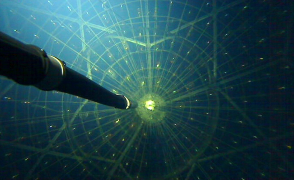Recent research gives the sterile neutrino a more in-depth examination