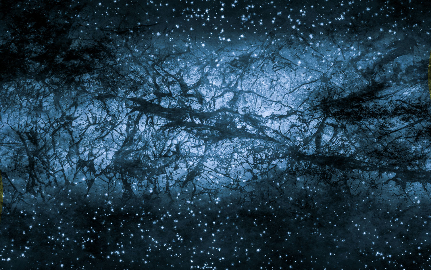 Unusual neutrinos may open the door to the dark side