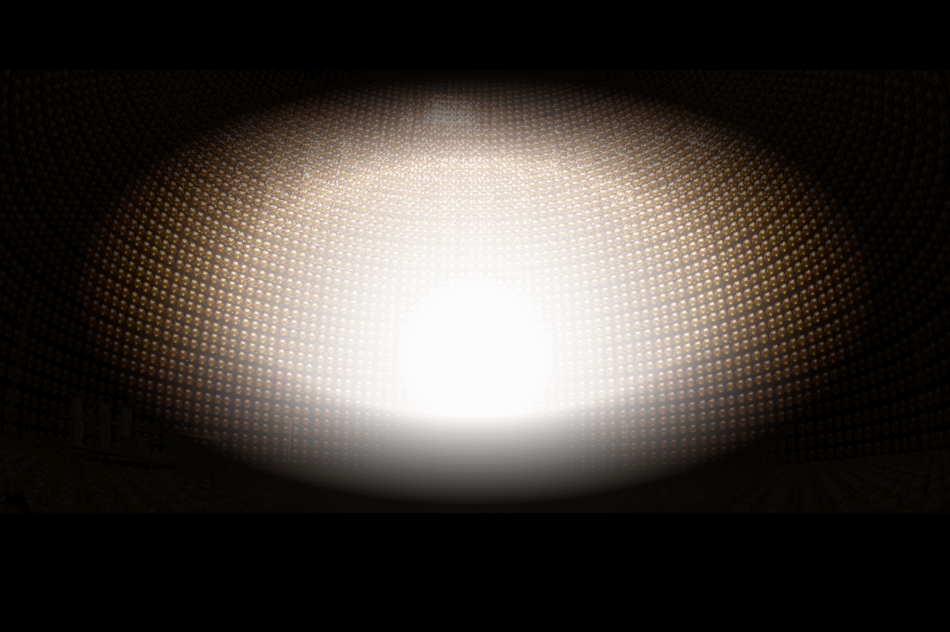 Sterile neutrinos disappear as STEREO detects no oscillations