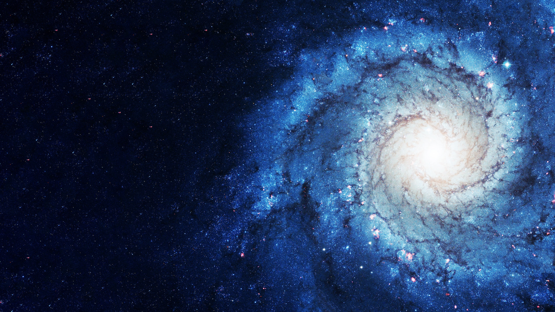 Unlocking the Potential of the Invisible: Neutrino Energy's Promise