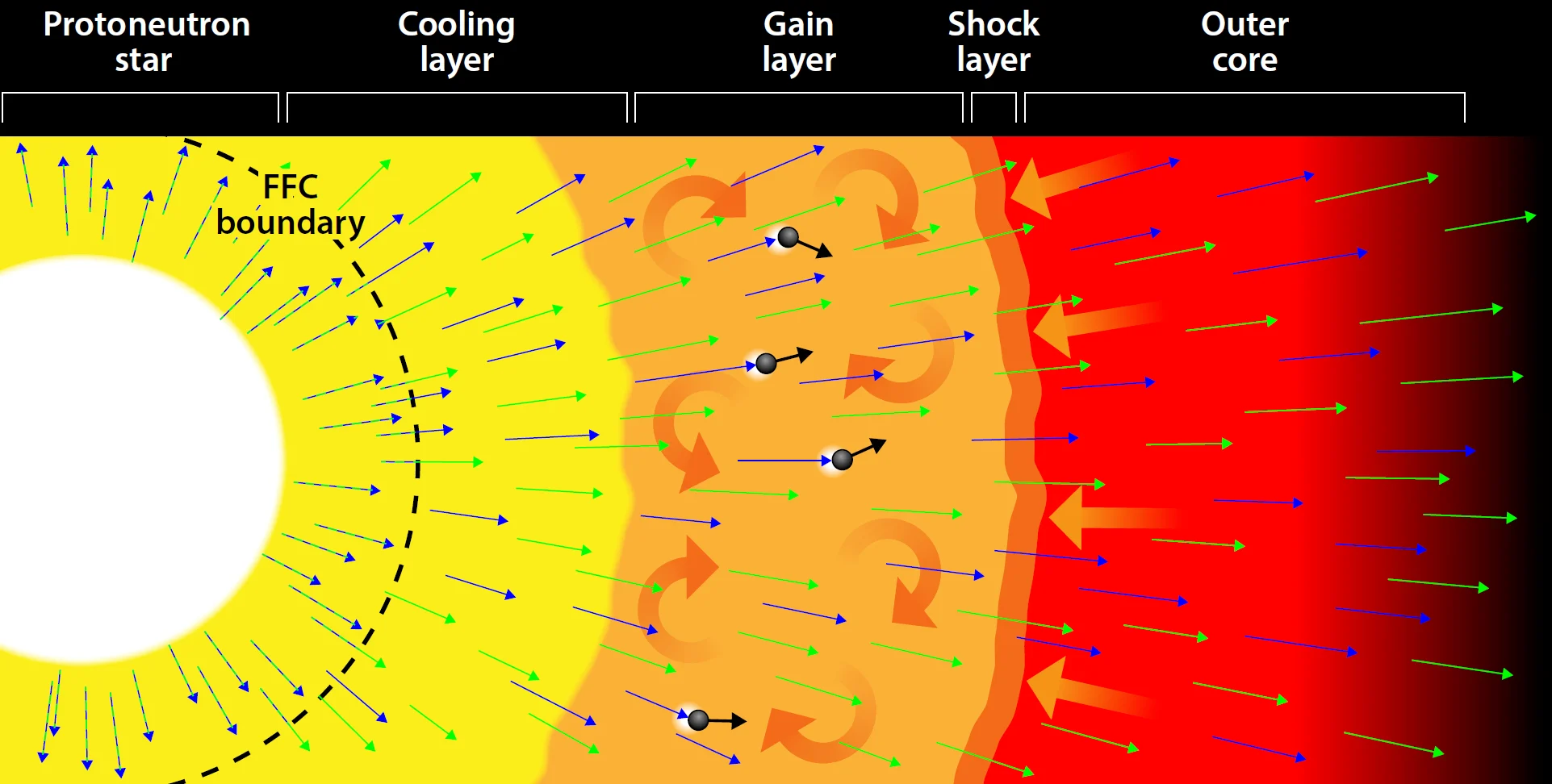 The Impact of Neutrino Oscillations on Supernovae